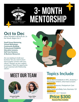 3 Month Mentorship for Doulas