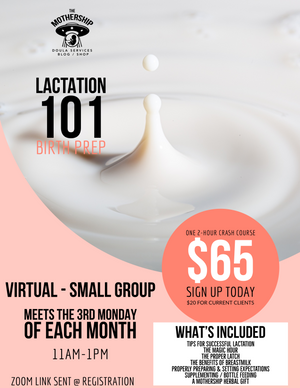 Lactation 101 - Virtual