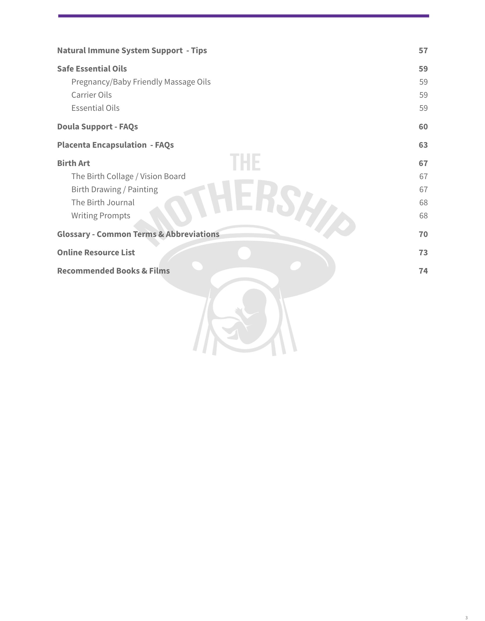 The Mothership Birth Guide & Planner (eBook or Print Copy)